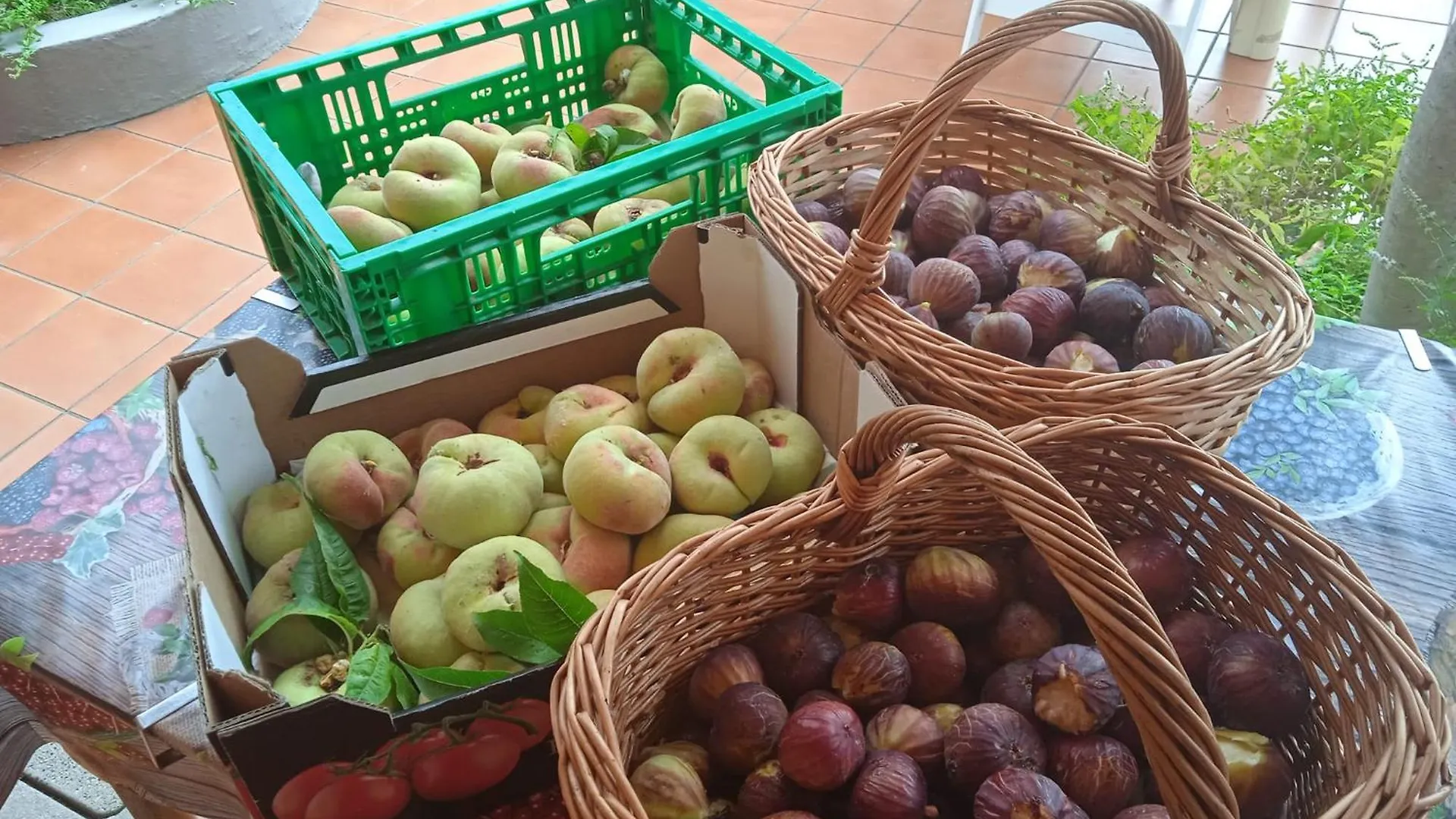 Locanda Dell'Amicizia Seccheto Italia