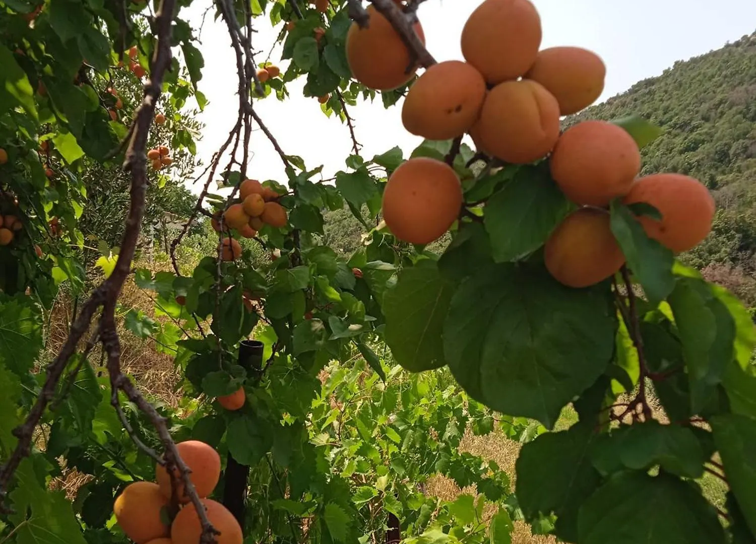Locanda Dell'Amicizia Seccheto
