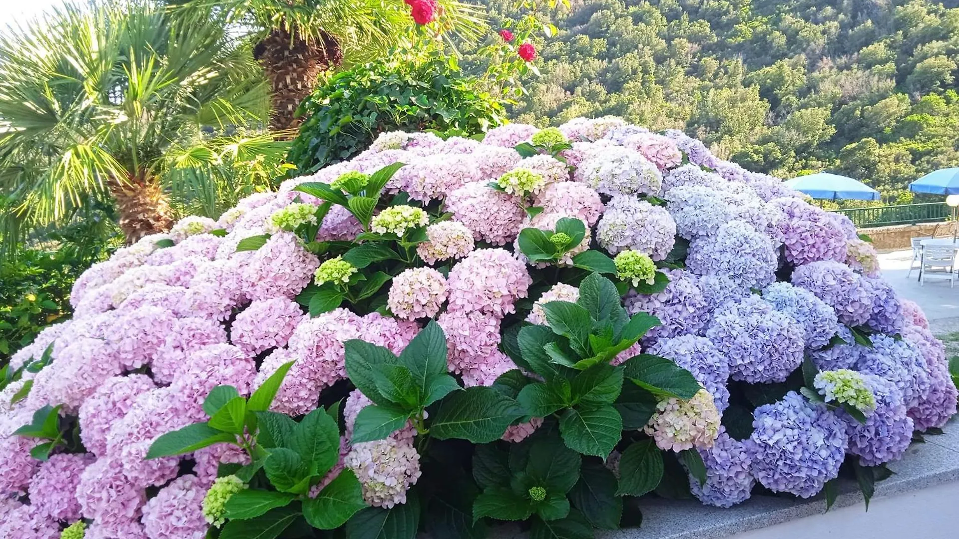 Locanda Dell'Amicizia Seccheto Hotel