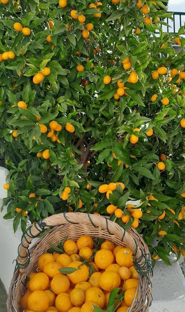 Locanda Dell'Amicizia Seccheto Hotel