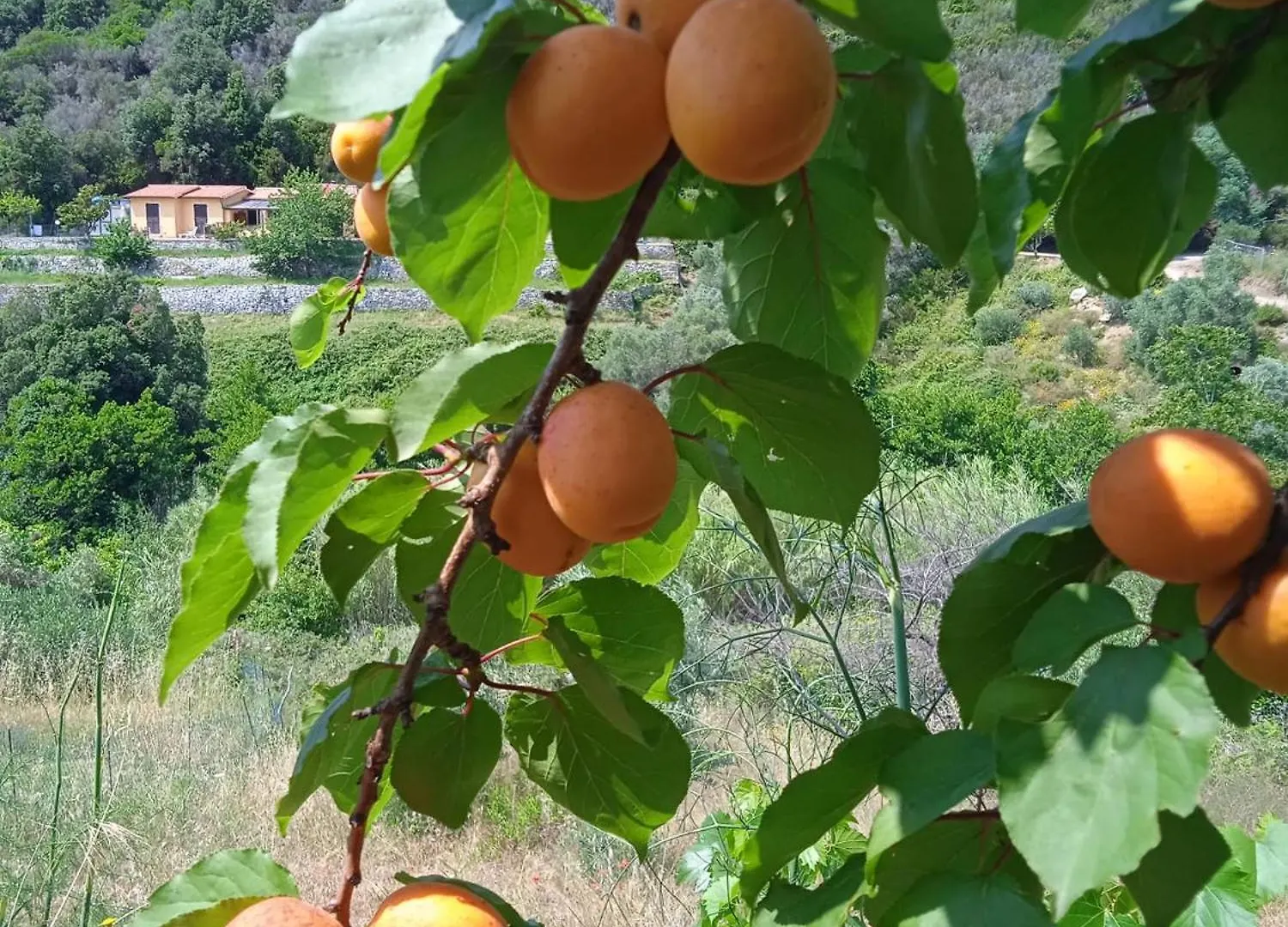 Locanda Dell'Amicizia Seccheto