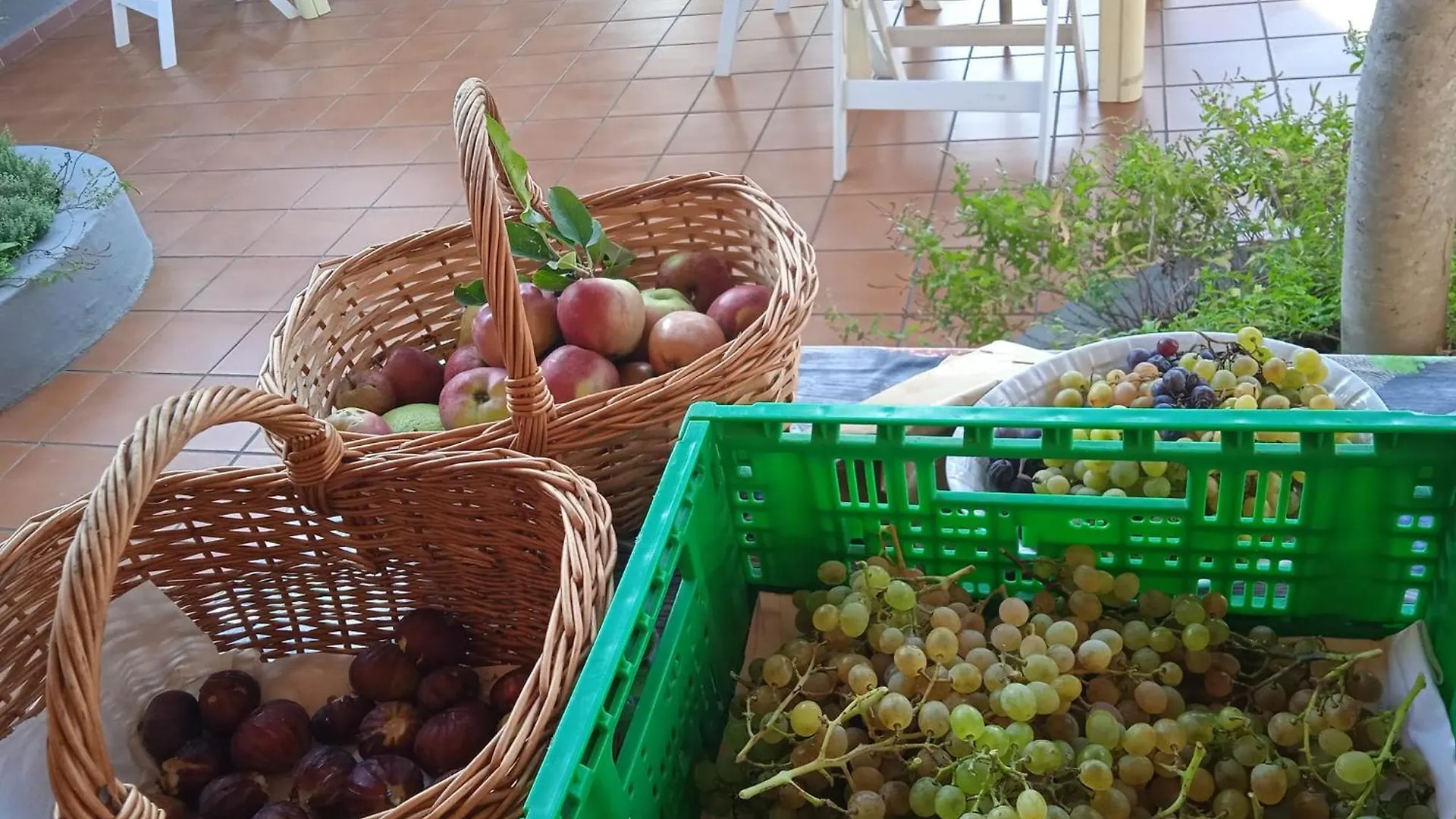Locanda Dell'Amicizia Seccheto Hotel