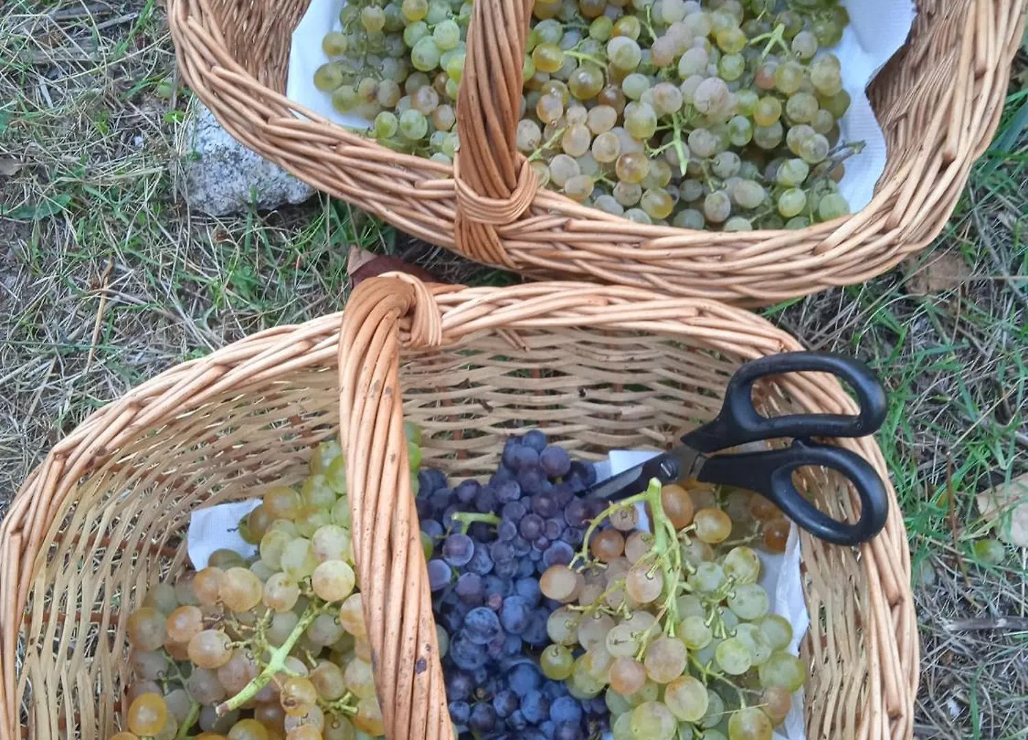 Locanda Dell'Amicizia Seccheto